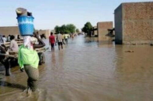 Article : Inondations au Tchad : la ville de N’Djamena sera-t-elle épargnée cette année ?